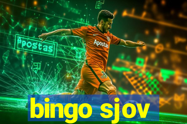 bingo sjov