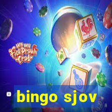 bingo sjov