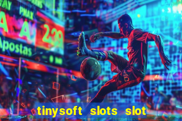 tinysoft slots slot machines & casino games