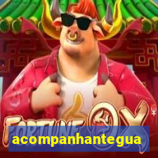 acompanhanteguanambi