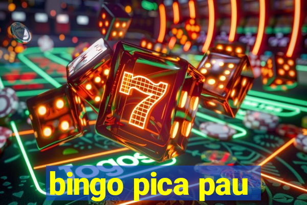 bingo pica pau