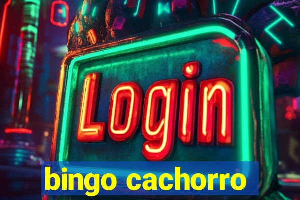 bingo cachorro