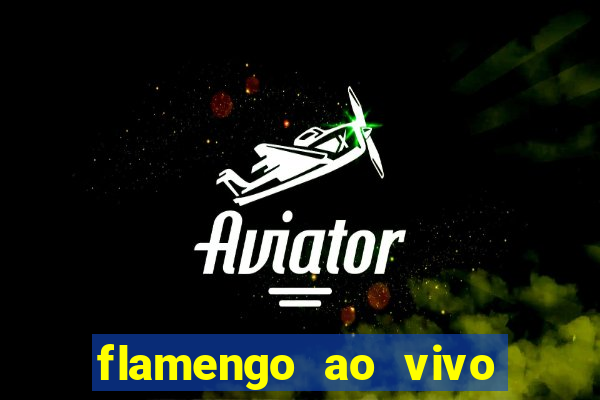 flamengo ao vivo hd play