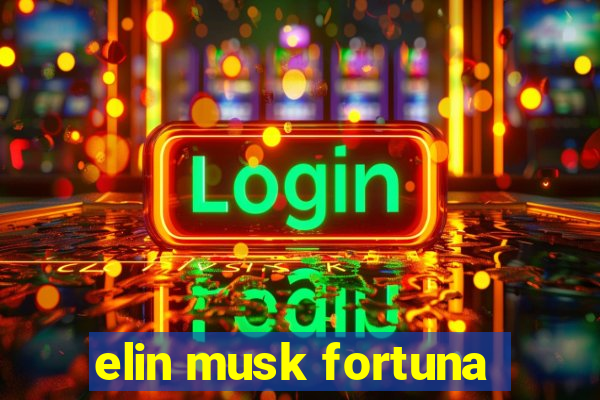 elin musk fortuna