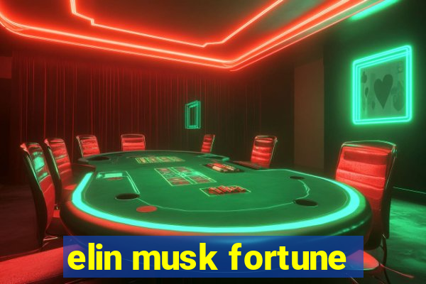 elin musk fortune