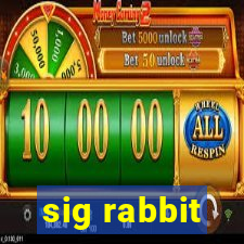 sig rabbit