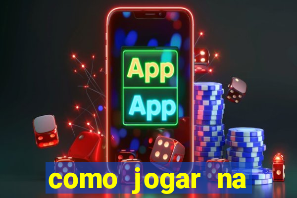 como jogar na lotinha do jogo do bicho