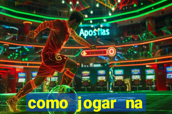 como jogar na lotinha do jogo do bicho