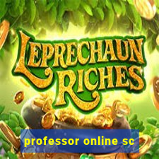 professor online sc