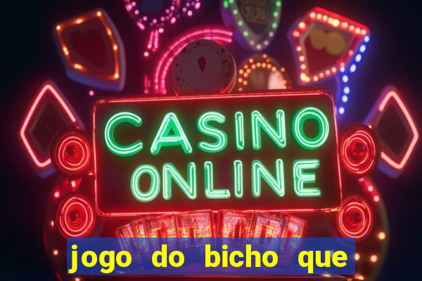 jogo do bicho que da dinheiro