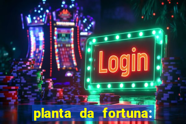 planta da fortuna: como cuidar