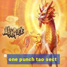 one punch tao sect