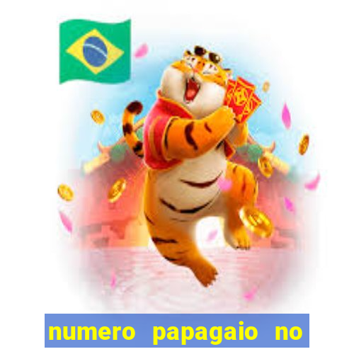 numero papagaio no jogo do bicho