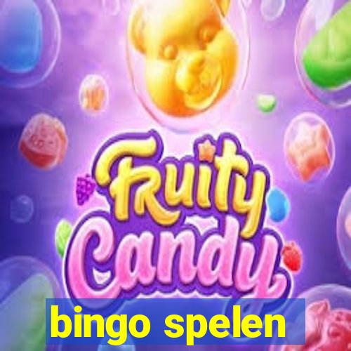 bingo spelen