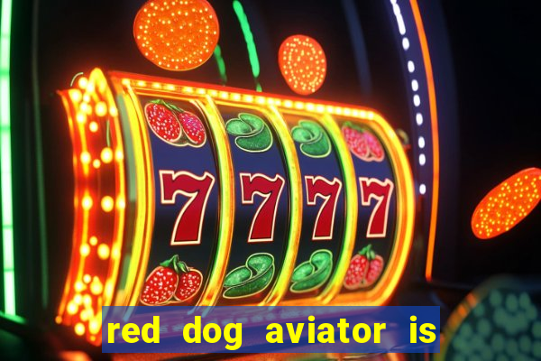 red dog aviator is real or fake