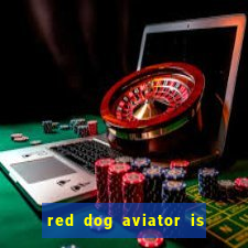 red dog aviator is real or fake