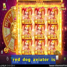 red dog aviator is real or fake