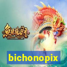 bichonopix