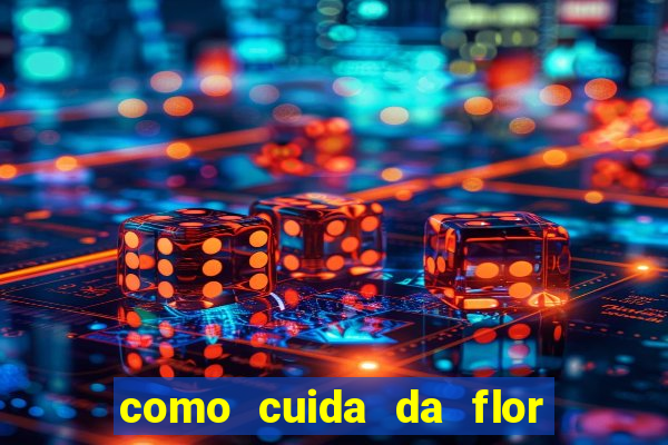 como cuida da flor da fortuna