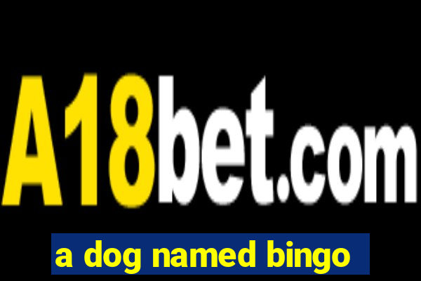 a dog named bingo