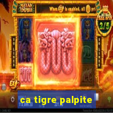 ca tigre palpite