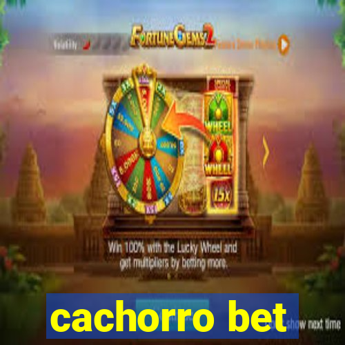 cachorro bet