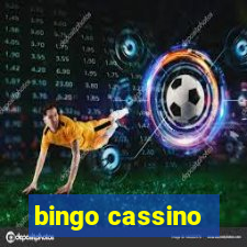 bingo cassino