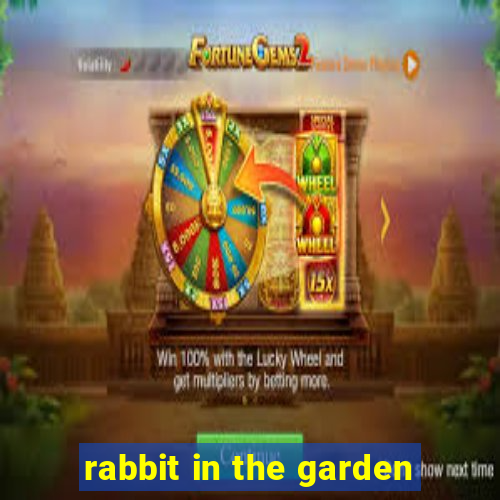 rabbit in the garden