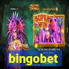 bingobet