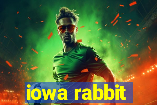 iowa rabbit