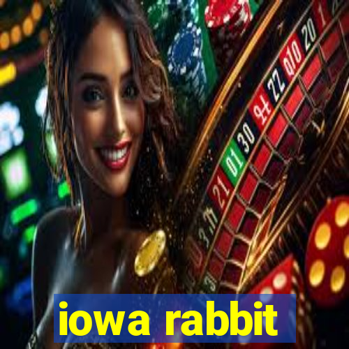 iowa rabbit