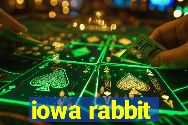 iowa rabbit