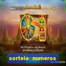 sorteio numeros bingo online