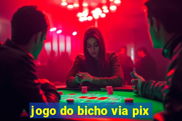 jogo do bicho via pix