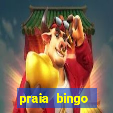 praia bingo dinheiro infinito 2022