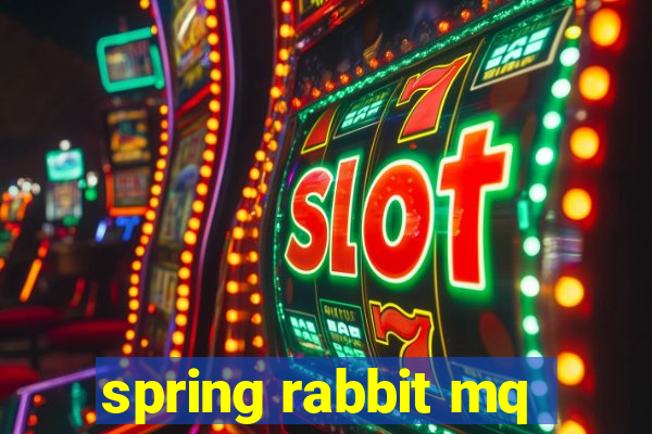 spring rabbit mq