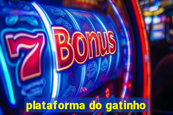 plataforma do gatinho