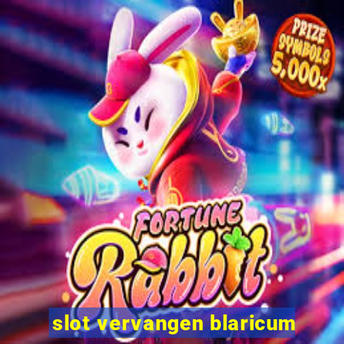 slot vervangen blaricum