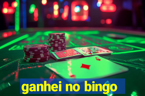 ganhei no bingo