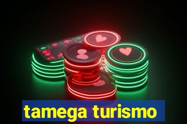 tamega turismo