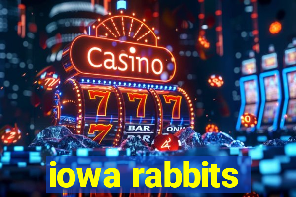 iowa rabbits