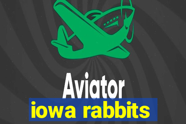 iowa rabbits