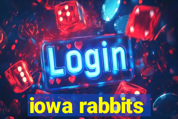 iowa rabbits