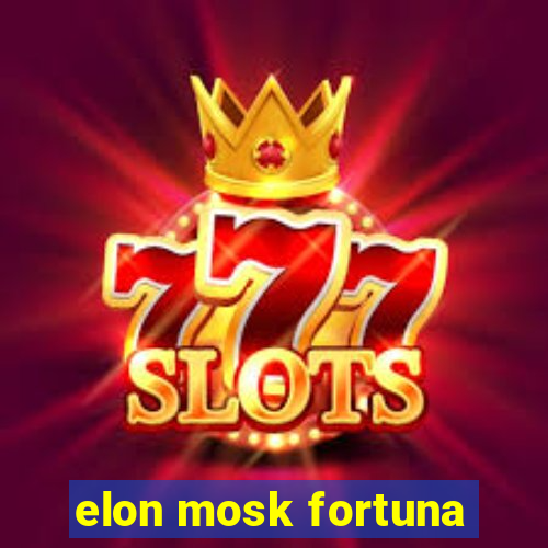 elon mosk fortuna