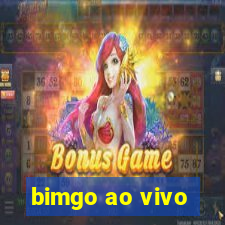 bimgo ao vivo