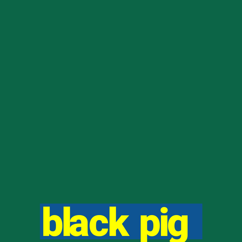 black pig