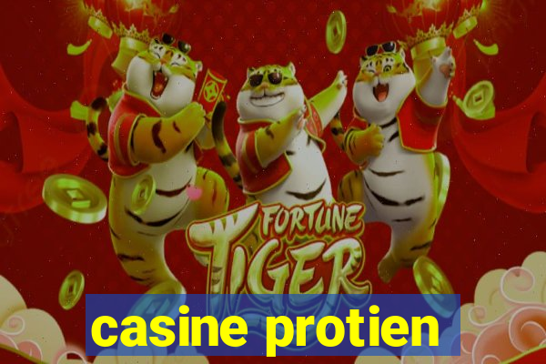 casine protien