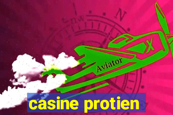 casine protien