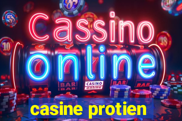 casine protien