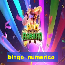 bingo numerico educa??o infantil